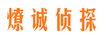 东风市调查公司